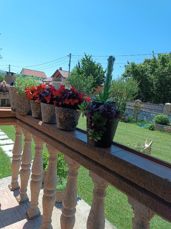 Calm Nest Apartment Niksic Exterior photo