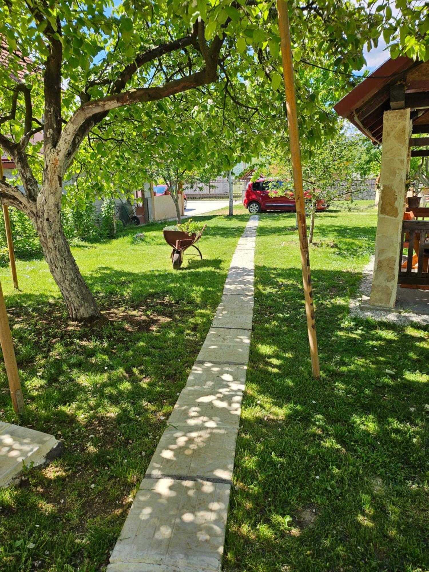 Calm Nest Apartment Niksic Exterior photo